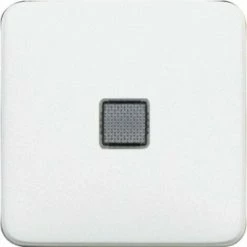 LEGRAND Kontrollwippe Mit Fenster Und 4 Symbolen CREO Ultraweiß