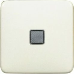 LEGRAND Kontrollwippe Mit Fenster Und 4 Symbolen CREO Mandelweiß