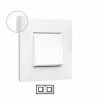VALENA NEXT Abdeckplatte Mit 2 Weißen Elementen - LEGRAND