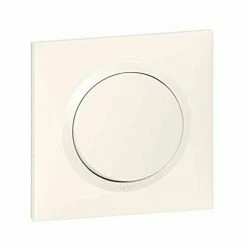 SCHALTER ODER ZWEIWEGE LEGRAND DOOXIE ONE 10AX 250V~ GELIEFERT MIT WEIßER QUADRATISCHER PLATTE UND KRABEN LEG600701